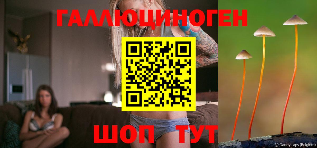 что такое   Галлюциногенные грибы MAGIC MUSHROOMS  Благовещенск  Вход с VPN  Псилоцибиновые грибы MAGIC MUSHROOMS 